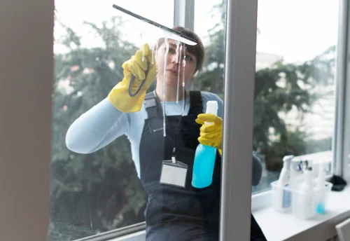 Nettoyage de vitres intérieures et extérieures au Bessat